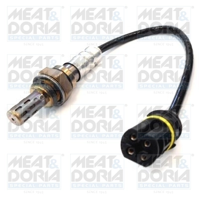 Oxygen Sensor